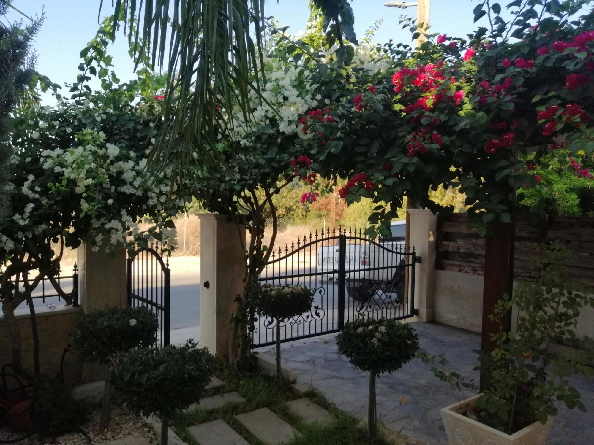 Villa Myria Paphos ห้อง รูปภาพ